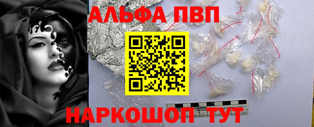 A PVP СК КРИС Сунжа