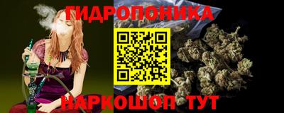 шишки Тверь