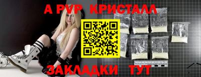 шишки Тверь