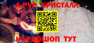 шишки Тверь