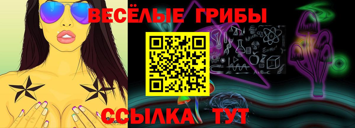 Псилоцибиновые грибы Psilocybe  Вход с VPN  Сунжа 